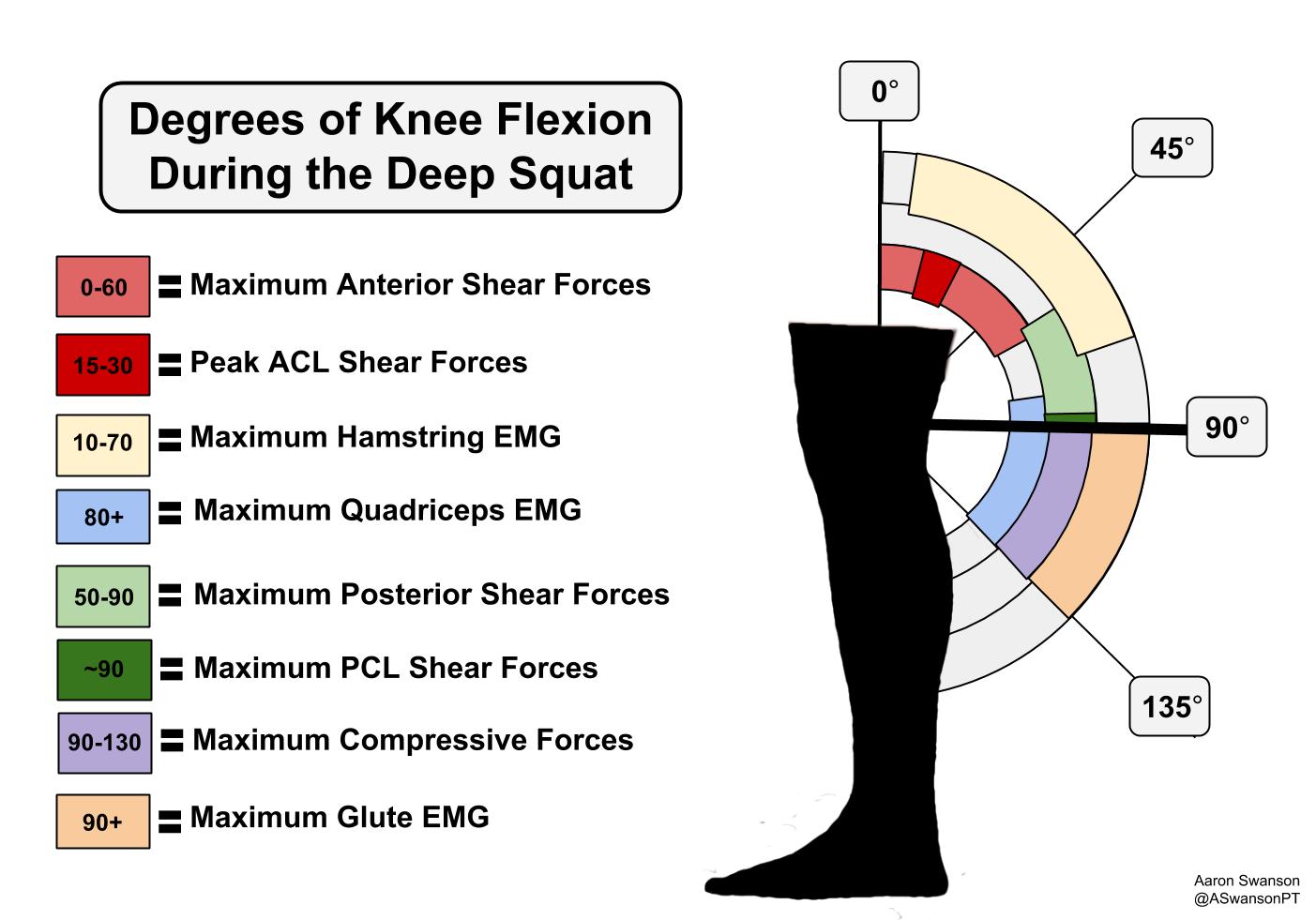 forces-with-the-deep-squat-swanson