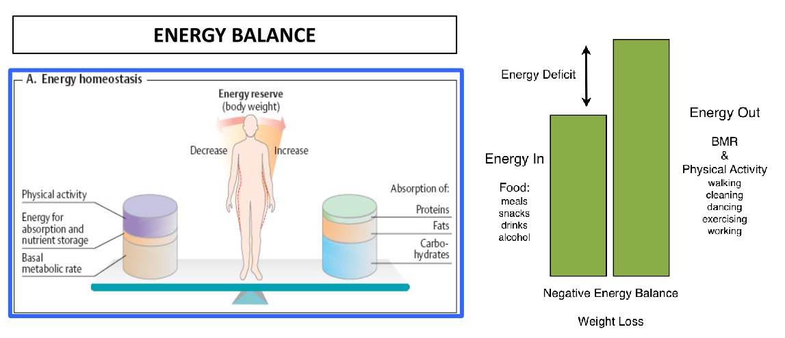 energy-balance